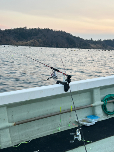 アナゴの釣果