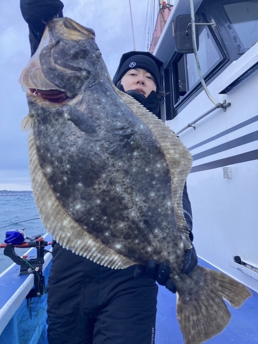 ヒラメの釣果