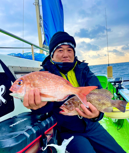 マダイの釣果