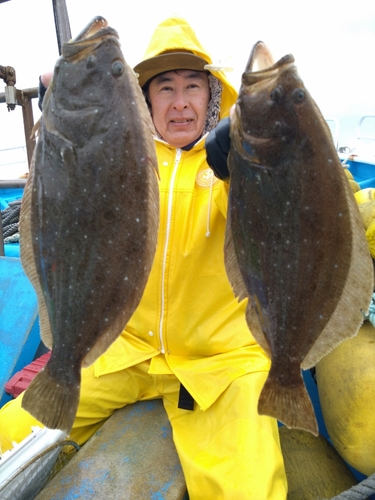 ヒラメの釣果