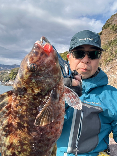 ブダイの釣果