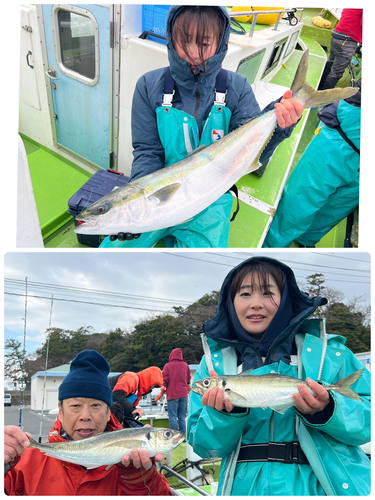 マアジの釣果