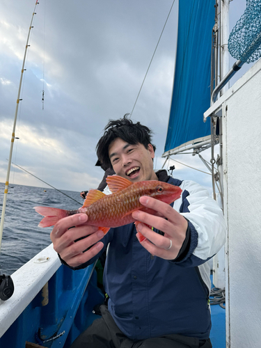 ホウライヒメジの釣果