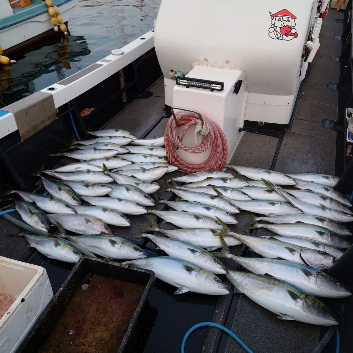 九三丸さんの釣果 3枚目の画像