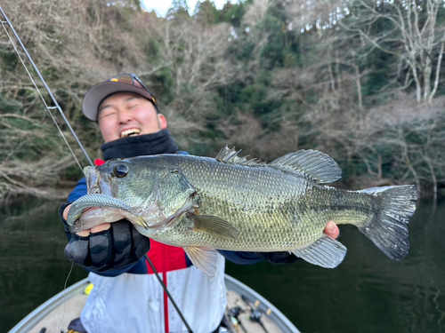 芹川ダム湖