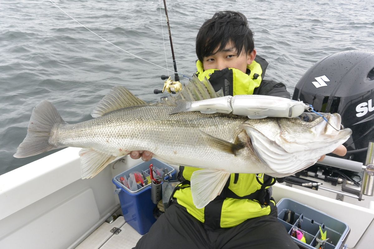 シーバス船シーホース　ウッチー船長さんの釣果 2枚目の画像