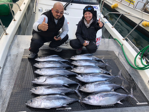 ビンチョウマグロの釣果