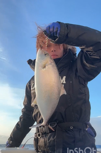 ショゴの釣果