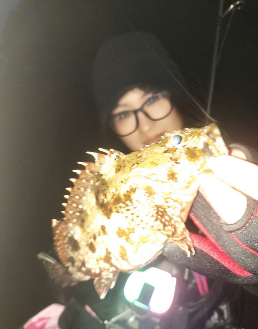 カサゴ