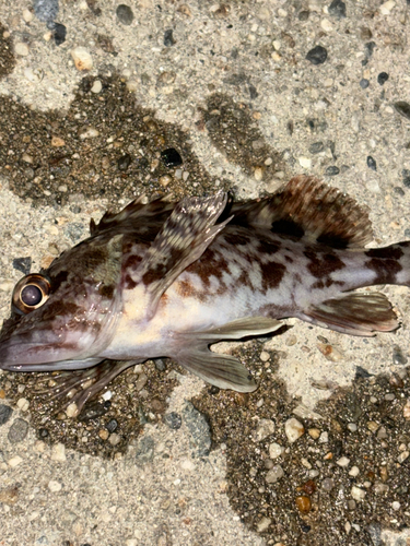 セントレア常滑港前島