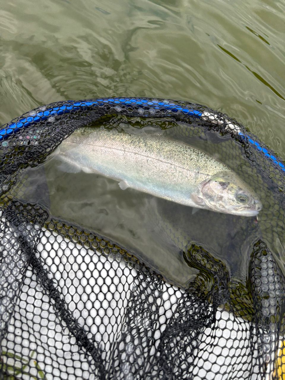 TENRYU 23レイズ インテグラル RZI484B-ULの最安値・インプレ・釣果