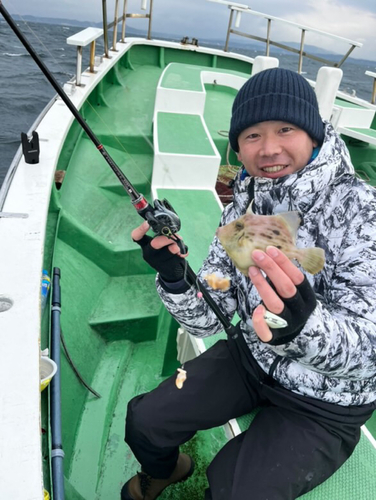 カワハギの釣果