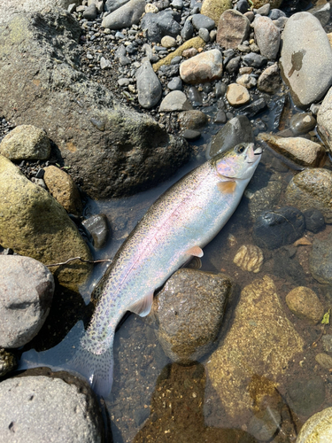 石狩川上流