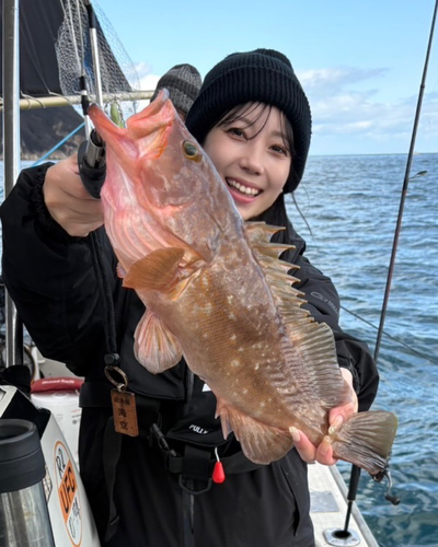 アコウの釣果