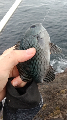 江ノ島