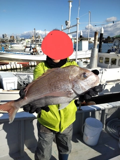 タイの釣果