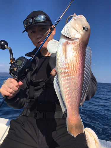 シロアマダイの釣果