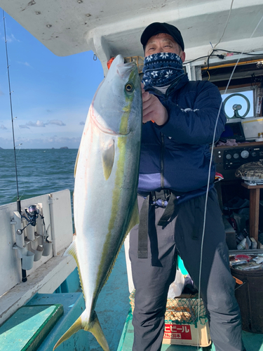 ヤズの釣果