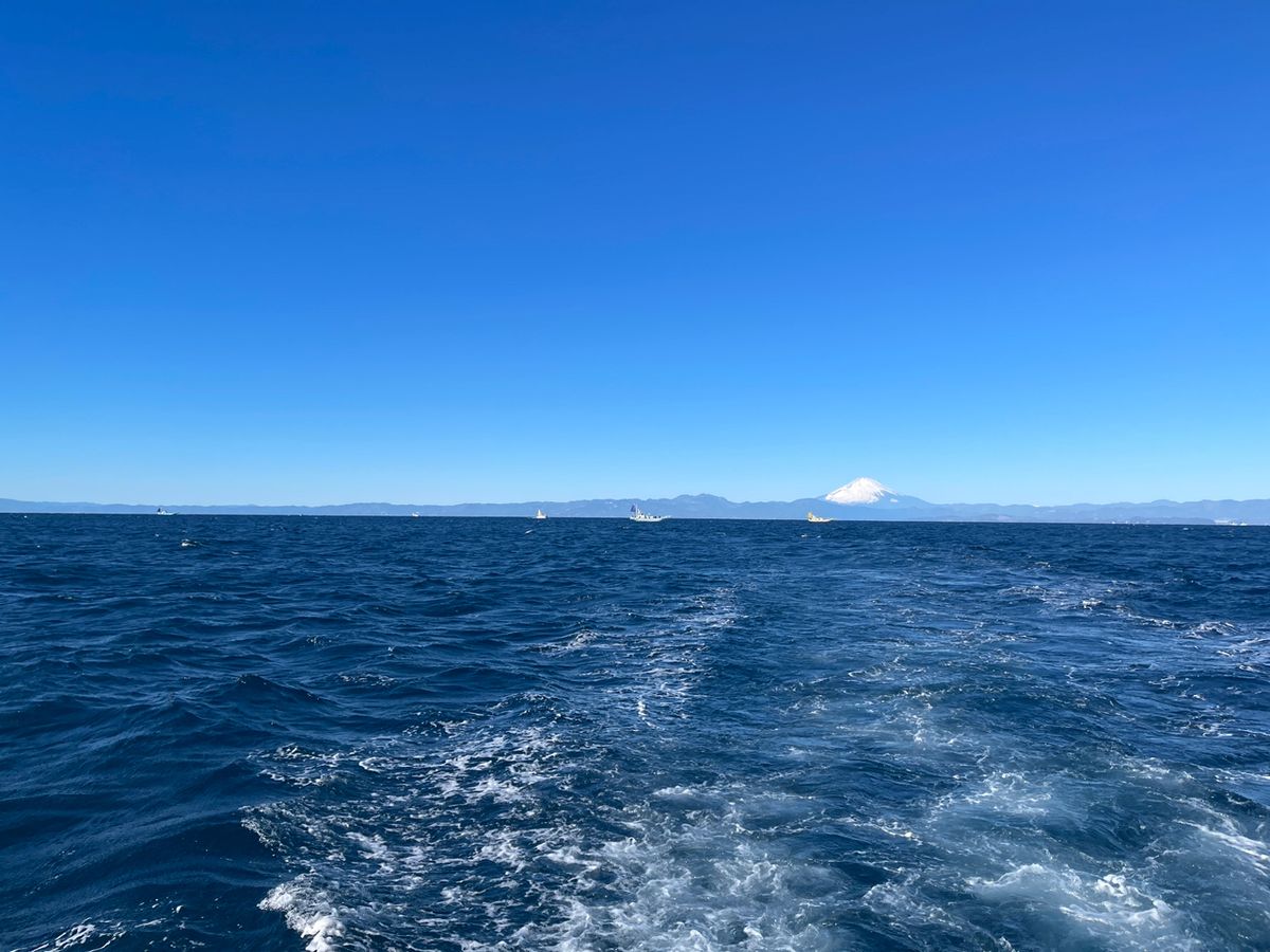 逃がした魚は大きいよね🐟さんの釣果 2枚目の画像