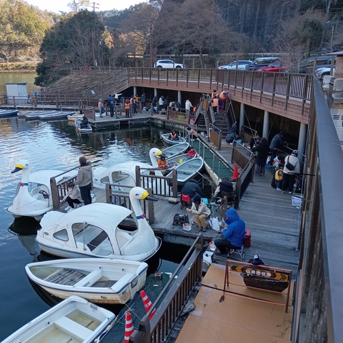 ワカサギの釣果