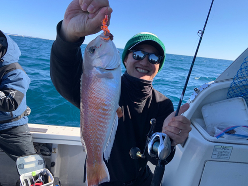 シロアマダイの釣果