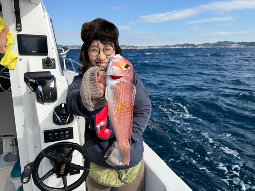 アマダイの釣果