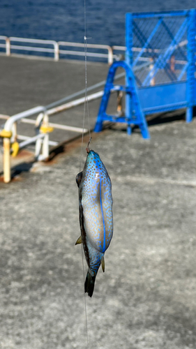 熱海港海釣り施設