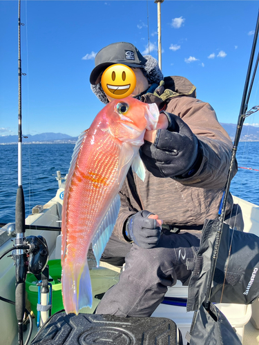 アマダイの釣果