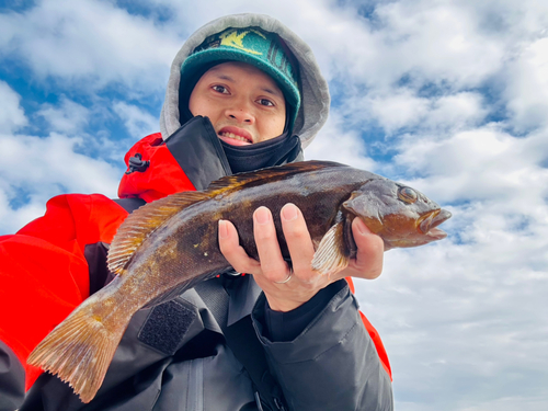 アイナメの釣果