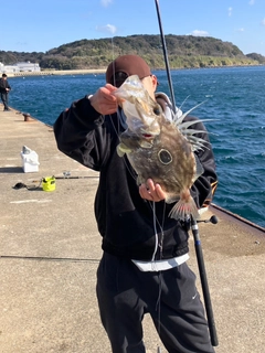 マトウダイの釣果