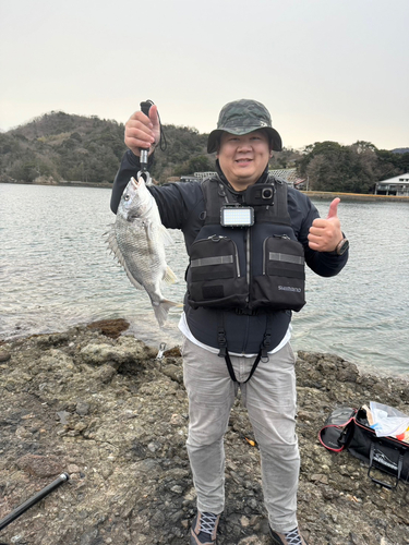 キビレの釣果