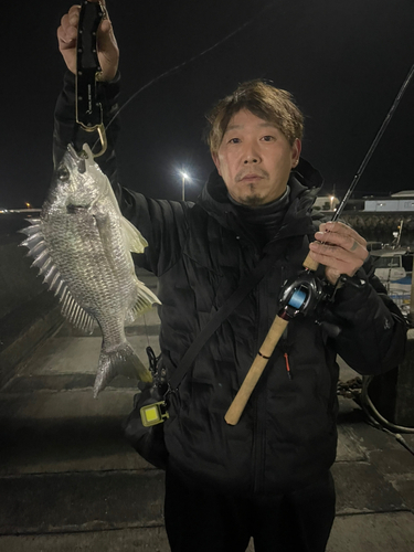 キビレの釣果