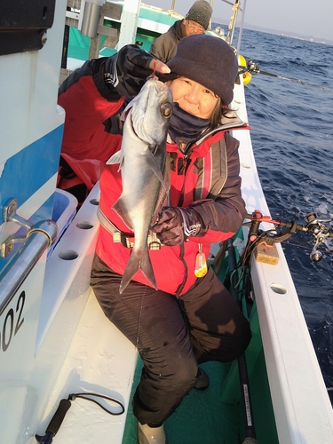 メダイの釣果