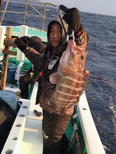 マハタの釣果