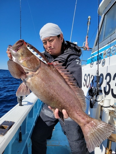 オオスジハタの釣果