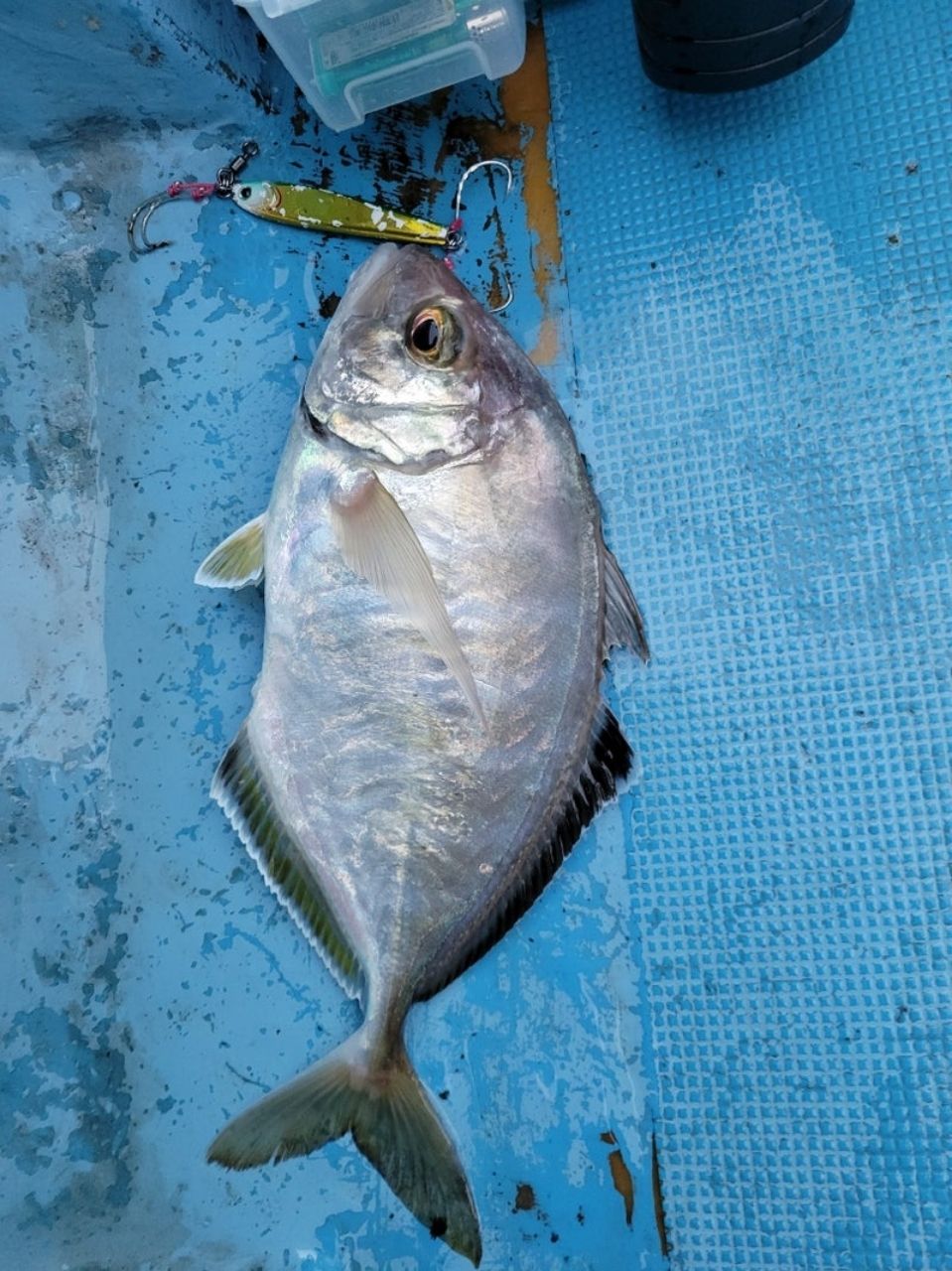 恵比寿丸 釣果さんの釣果 3枚目の画像