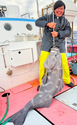 アブラボウズの釣果