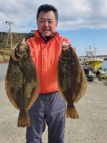 ヒラメの釣果