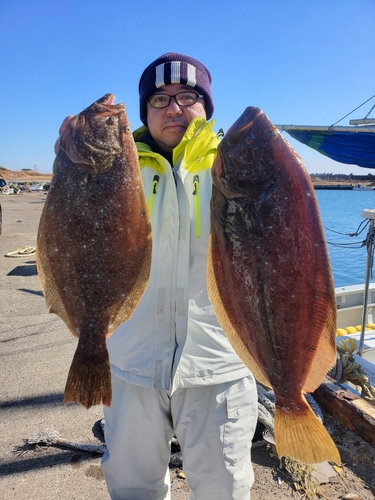 ヒラメの釣果