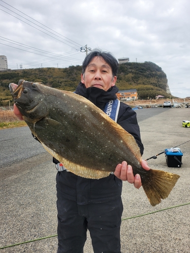 ヒラメの釣果