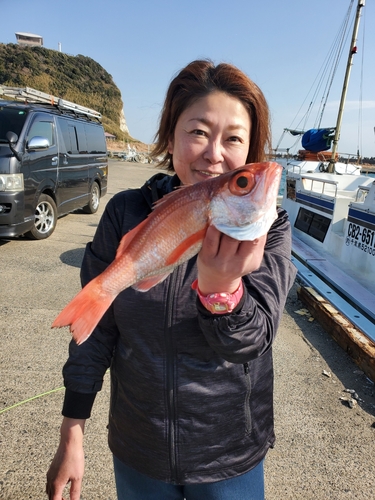 アカムツの釣果