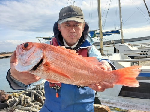 アカムツの釣果