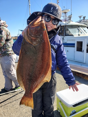 ヒラメの釣果