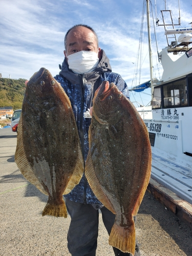 ヒラメの釣果