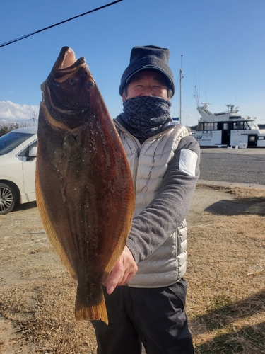 ヒラメの釣果