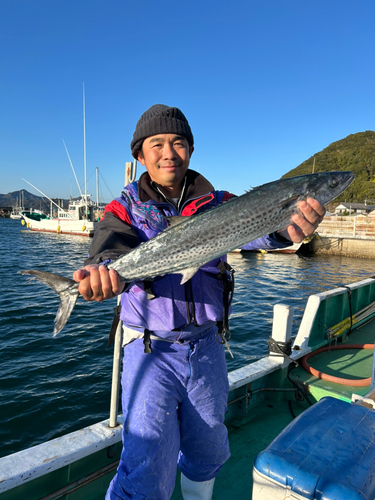 サワラの釣果