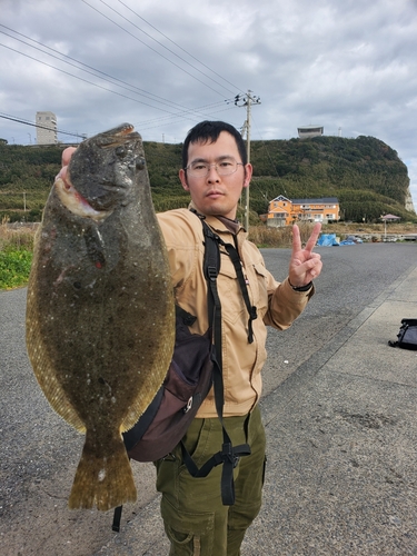 ヒラメの釣果