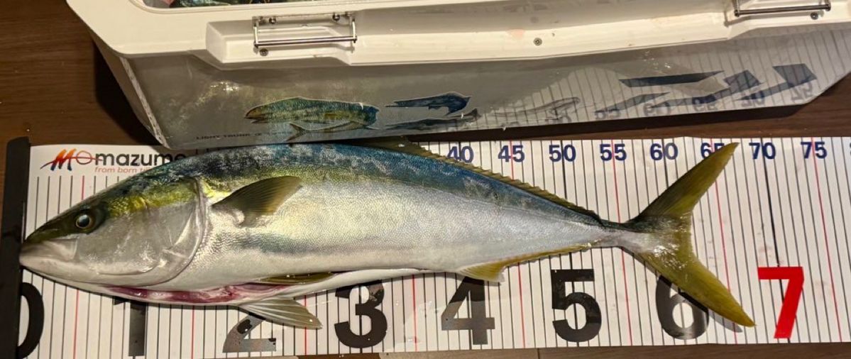 E-OSさんの釣果 2枚目の画像