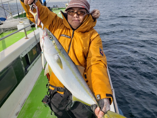 ワラサの釣果