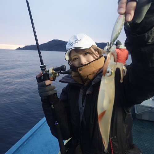 ヤリイカの釣果